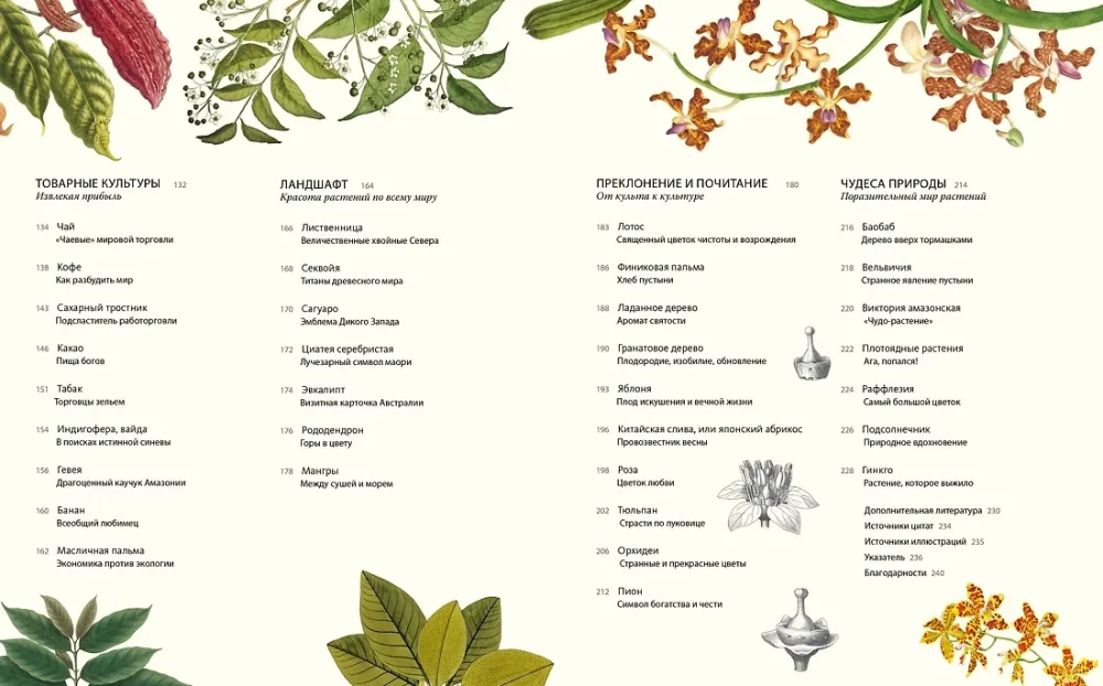 Outstanding Plants That Changed Our Life