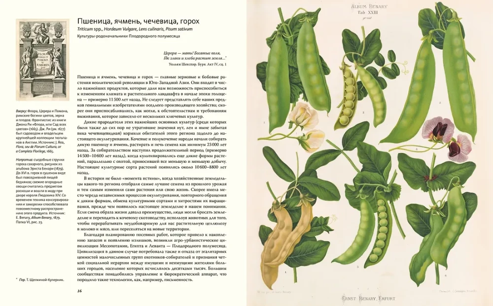 Outstanding Plants That Changed Our Life