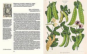 Outstanding Plants That Changed Our Life