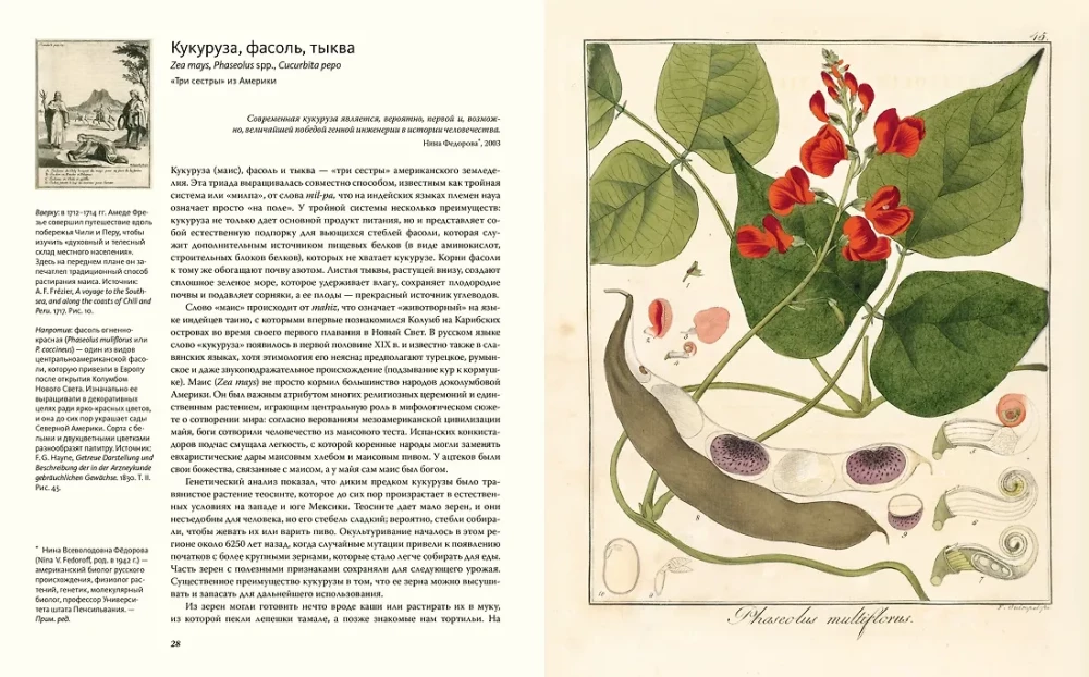 Outstanding Plants That Changed Our Life