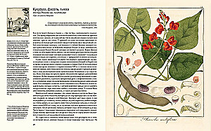 Outstanding Plants That Changed Our Life