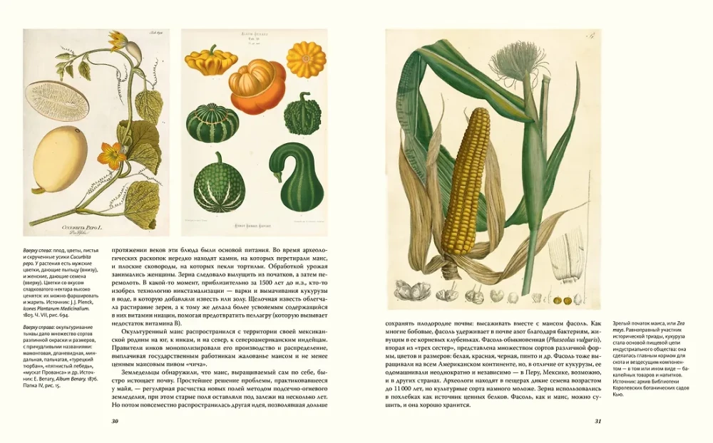 Outstanding Plants That Changed Our Life