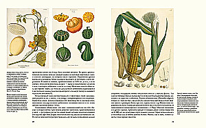Outstanding Plants That Changed Our Life