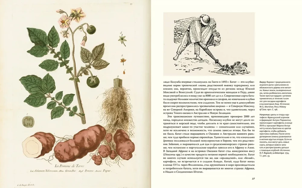 Outstanding Plants That Changed Our Life
