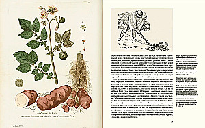 Outstanding Plants That Changed Our Life