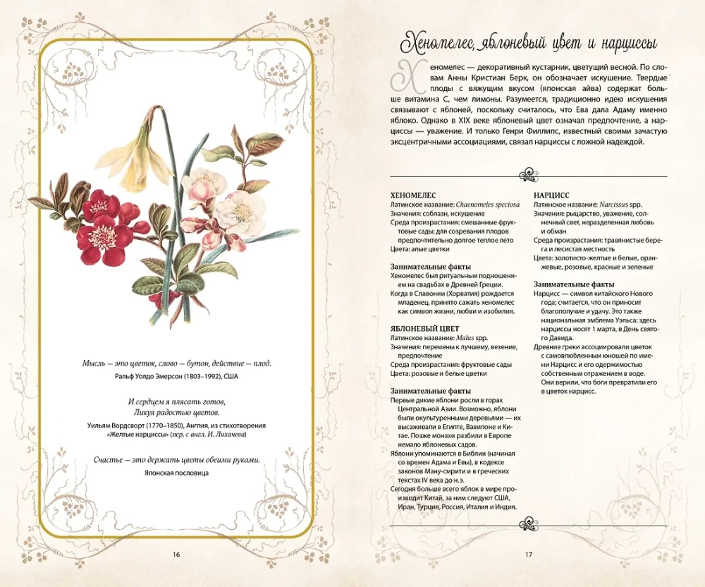 Die geheime Sprache der Blumen