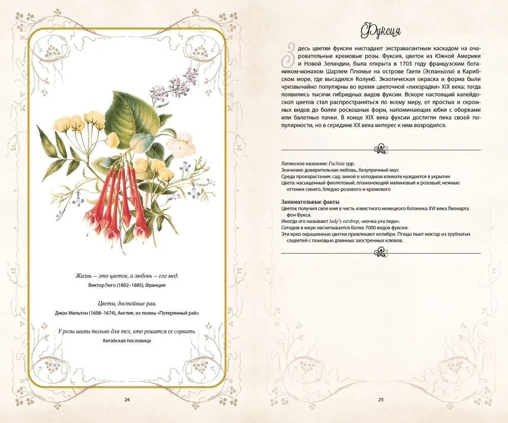 Die geheime Sprache der Blumen
