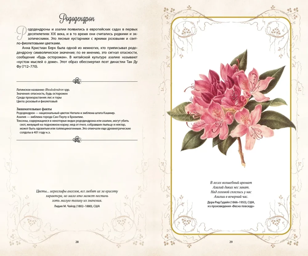Die geheime Sprache der Blumen