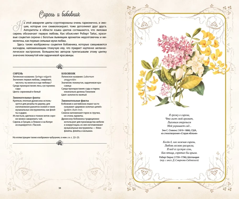 Die geheime Sprache der Blumen
