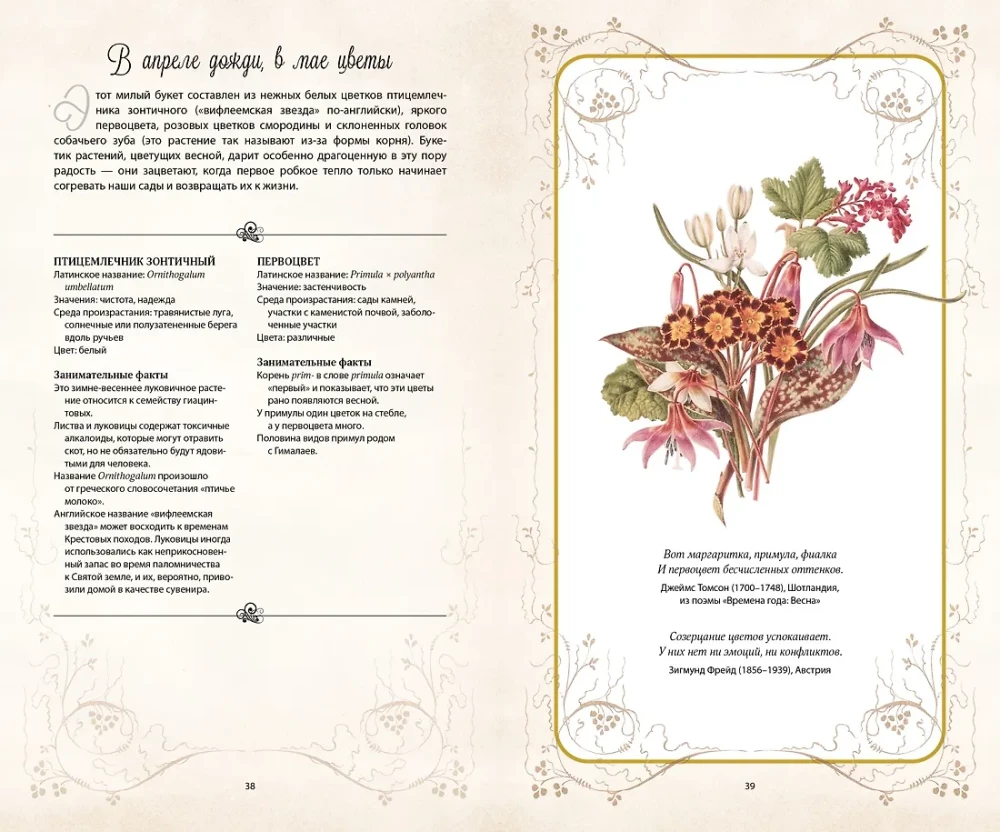 Die geheime Sprache der Blumen