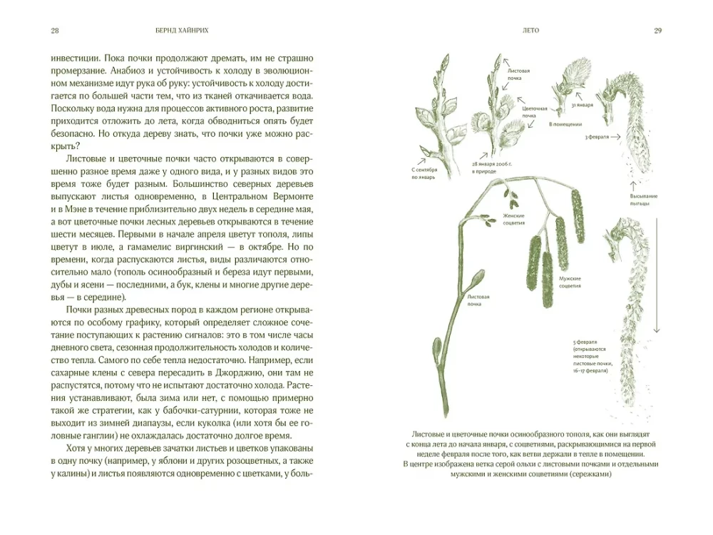 Summer. Secrets of Plant and Animal Survival in the Season of Abundance