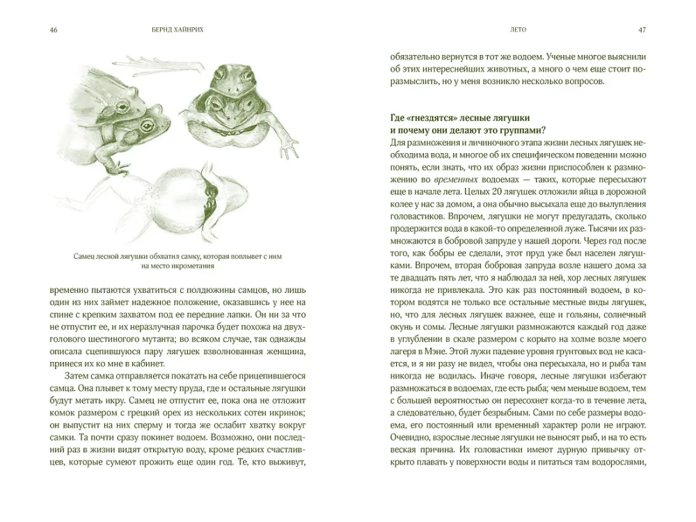 Summer. Secrets of Plant and Animal Survival in the Season of Abundance