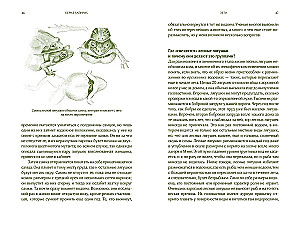 Summer. Secrets of Plant and Animal Survival in the Season of Abundance