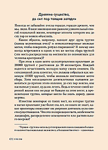 Пчелы. Что человек и пчела значат друг для друга