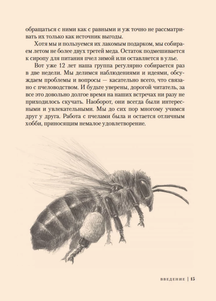 Пчелы. Что человек и пчела значат друг для друга