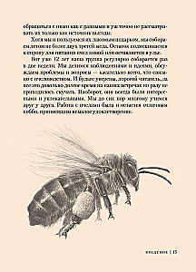 Пчелы. Что человек и пчела значат друг для друга