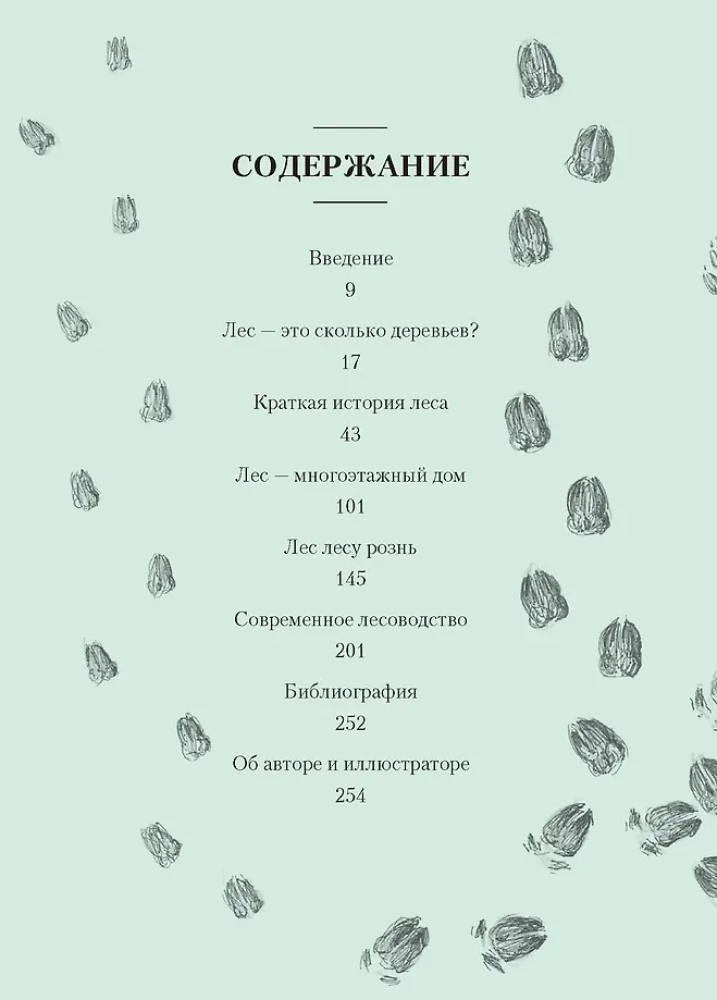 Forest. How the Forest Ecosystem is Organized