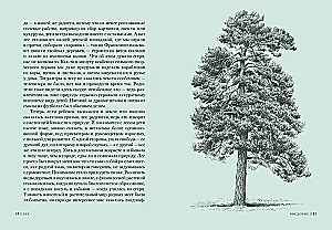 Forest. How the Forest Ecosystem is Organized