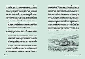 Forest. How the Forest Ecosystem is Organized