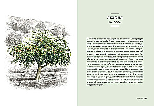 Trees. How the Lives of Humans and Trees are Intertwined