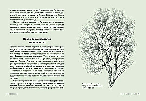 Trees. How the Lives of Humans and Trees are Intertwined