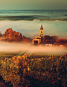 Auf der Suche nach Wein. Weinreisen durch die Alte Welt