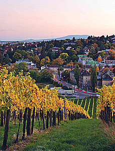 Auf der Suche nach Wein. Weinreisen durch die Alte Welt
