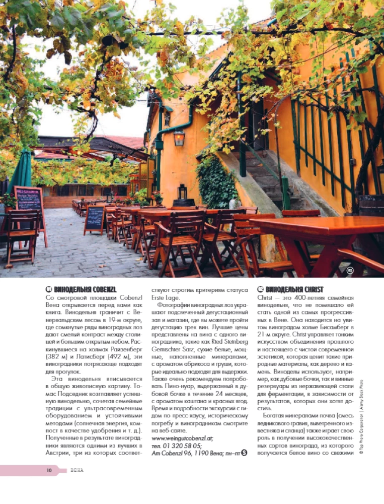 Auf der Suche nach Wein. Weinreisen durch die Alte Welt