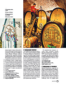 Auf der Suche nach Wein. Weinreisen durch die Alte Welt