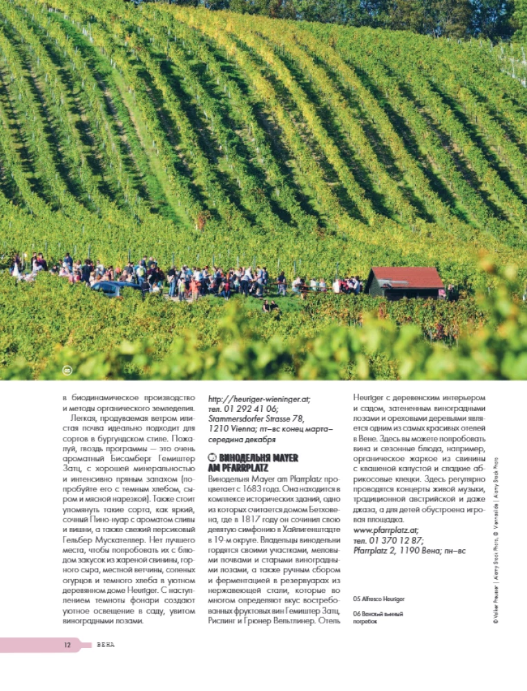 Auf der Suche nach Wein. Weinreisen durch die Alte Welt