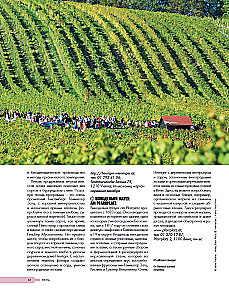 Auf der Suche nach Wein. Weinreisen durch die Alte Welt