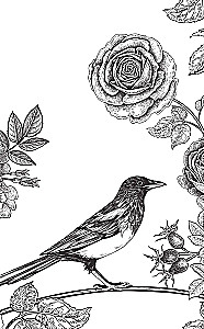 The Master of Crows