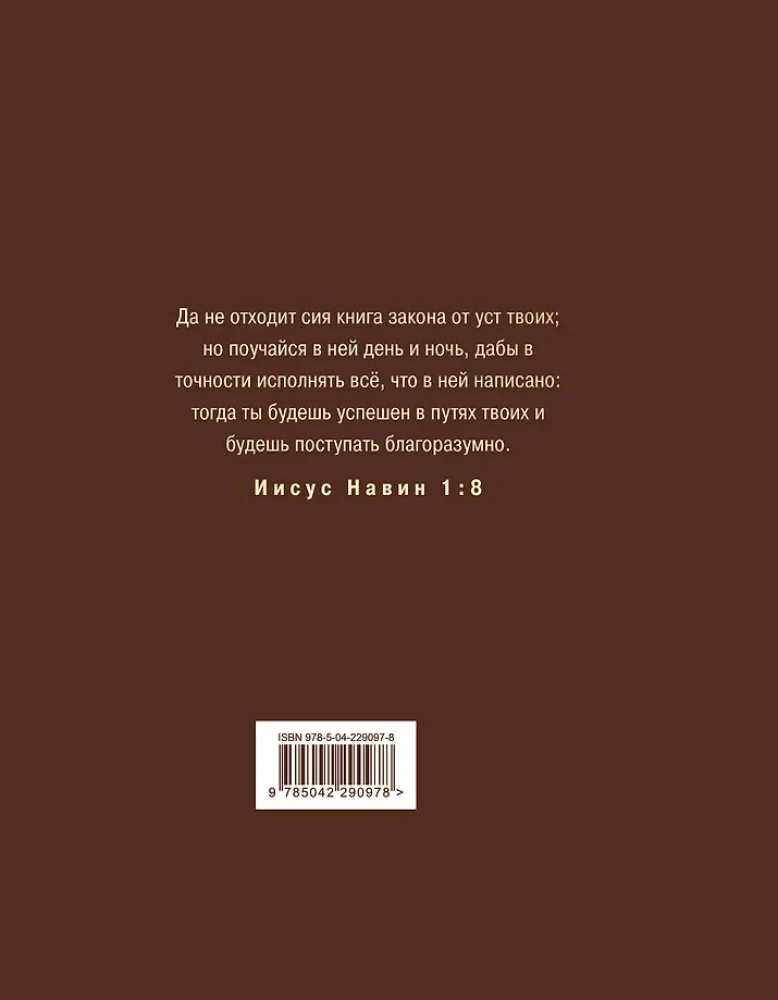 Biblija rusų sinodiniame vertime su užrašų laukais (ruda)