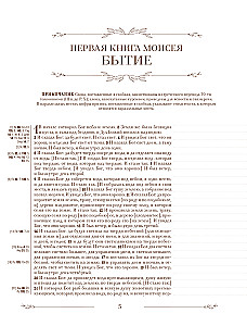 Biblija rusų sinodiniame vertime su užrašų laukais (ruda)