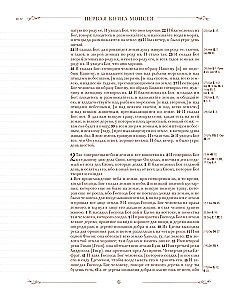 Biblija rusų sinodiniame vertime su užrašų laukais (ruda)