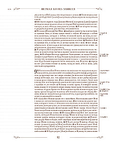 Biblija rusų sinodiniame vertime su užrašų laukais (ruda)