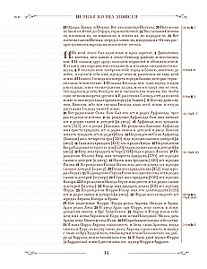 Biblija rusų sinodiniame vertime su užrašų laukais (ruda)