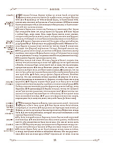Biblija rusų sinodiniame vertime su užrašų laukais (ruda)