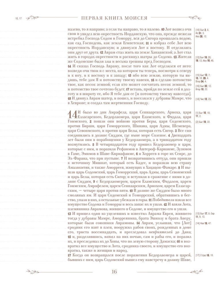 Biblija rusų sinodiniame vertime su užrašų laukais (ruda)