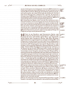 Biblija rusų sinodiniame vertime su užrašų laukais (ruda)