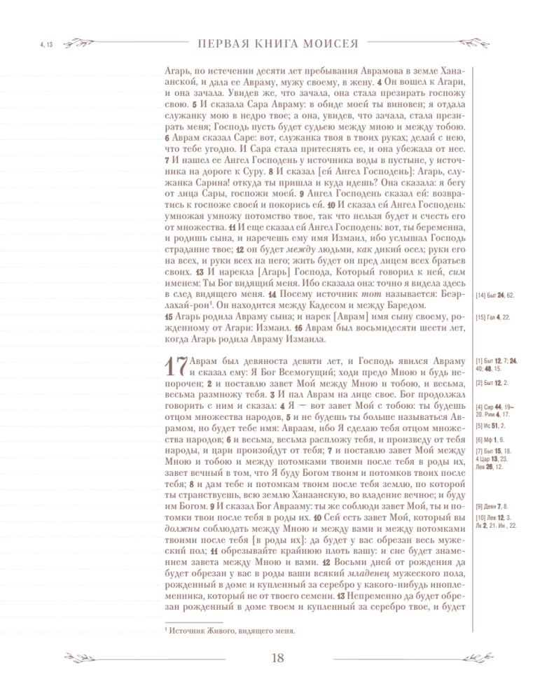 Biblija rusų sinodiniame vertime su užrašų laukais (ruda)