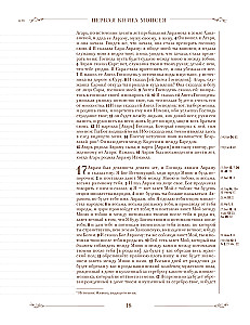 Biblija rusų sinodiniame vertime su užrašų laukais (ruda)
