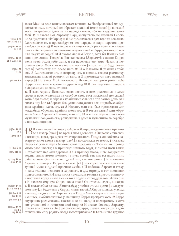 Biblija rusų sinodiniame vertime su užrašų laukais (ruda)