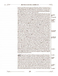 Biblija rusų sinodiniame vertime su užrašų laukais (ruda)