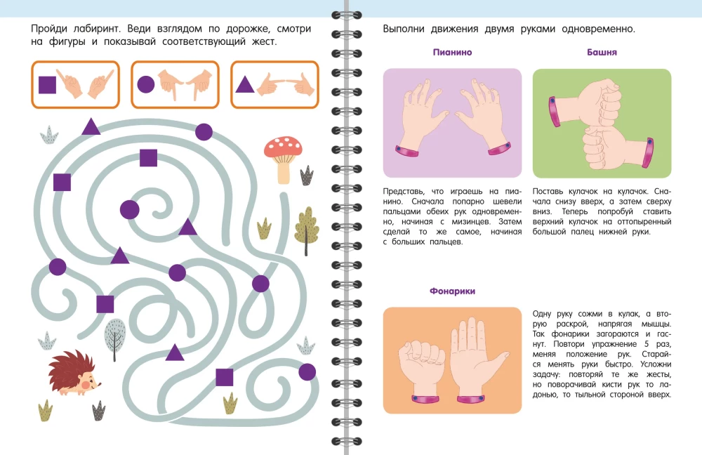 Trainer. Engaging Tasks for Brain Development for Children Aged 3-5 Years — photo 8
