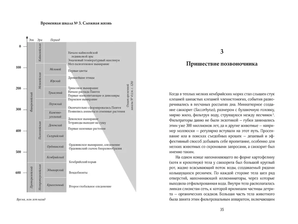 A Very Brief History of Life on Earth. 4.6 Billion Years in 12 Concise Chapters