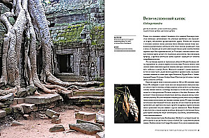 Outstanding Trees That Changed Our Lives