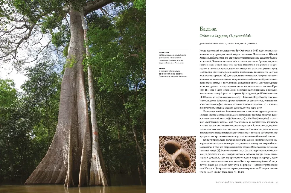 Outstanding Trees That Changed Our Lives