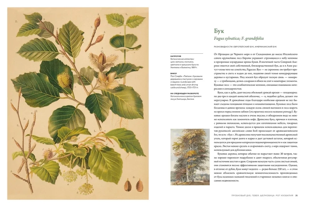 Outstanding Trees That Changed Our Lives