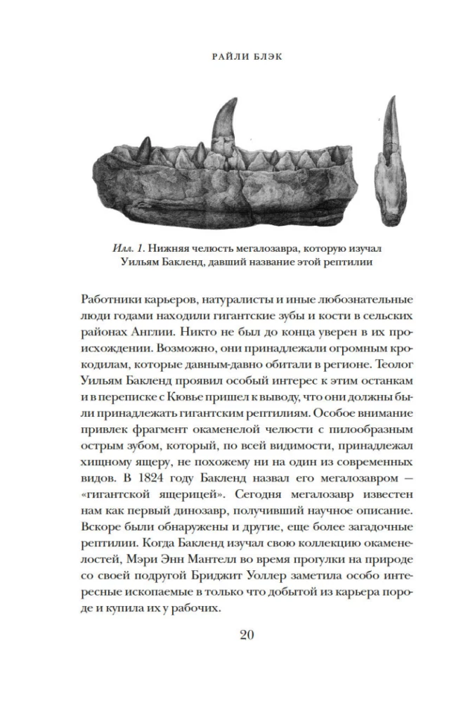 Pūkas, asinis un miljoni gadi. Pilnīga dinozauru vēsture